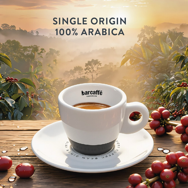 Crafted from a single origin as 100% Arabica, delivering a rich, distinctive profile straight to your cup.

*AI-generated image.