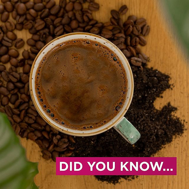 ...that you can use fresh coffee beans in the garden? 😄

You can use them and add them to soil with decorative plants such as hydrangeas and lilies.🌸
Coffee beans contain nutrients that plants use for growth, therefore, your plants will be even mor...