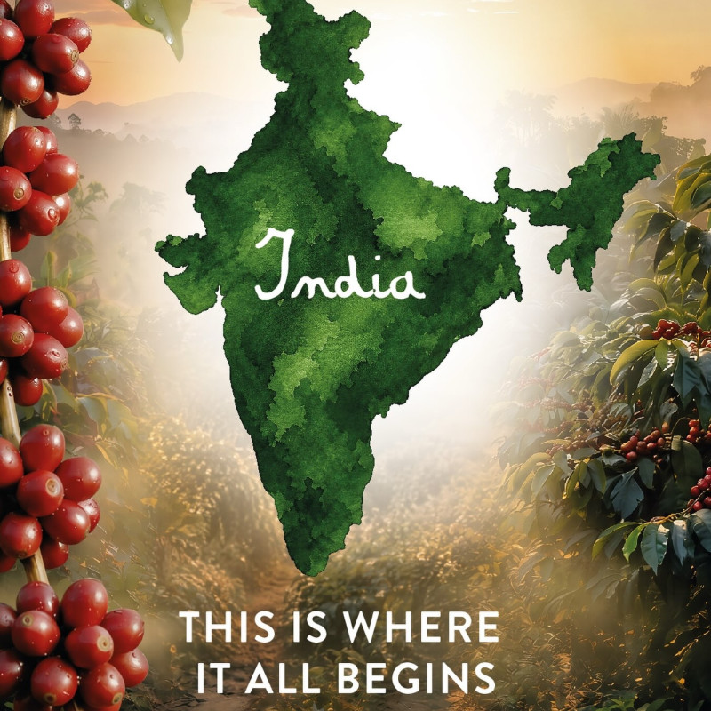 The journey of flavor takes root right here.

Following the map to the very heart of the plantation, where every India single origin bean is nurtured by nature before reaching your cup.

*AI-generated image.